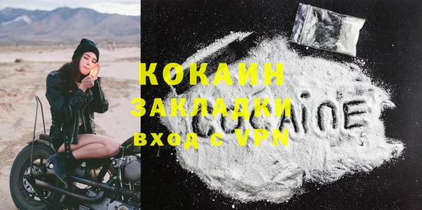 индика Абинск