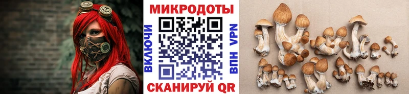 как найти наркотики  Старая Купавна  Галлюциногенные грибы мицелий 