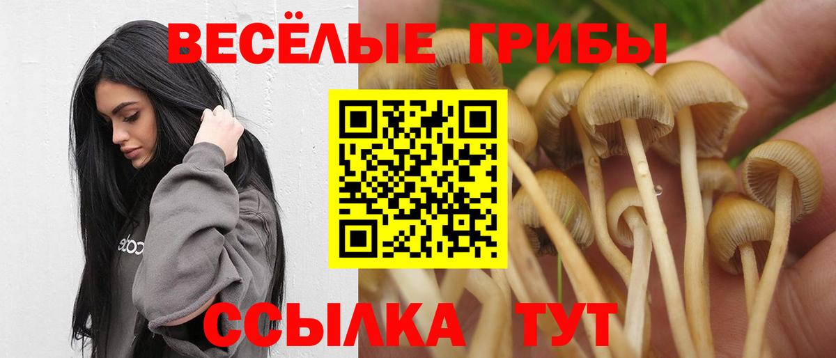 Псилоцибиновые грибы Magic Shrooms Старая Купавна