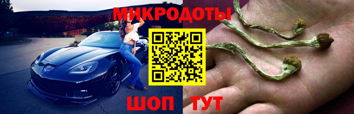 Псилоцибиновые грибы Cubensis  Галлюциногенные грибы GOLDEN TEACHER  где найти наркотики  Старая Купавна  Вход с VPN 