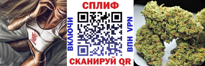 закладки  Старая Купавна  Каннабис планчик 